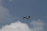 IMG 7797